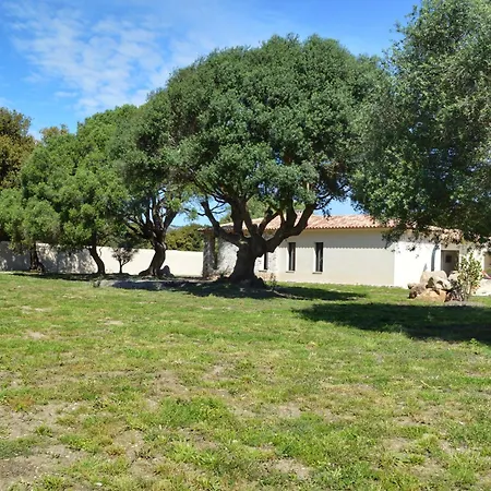 Villa Piscine, 10' De La Plage, Canetto,